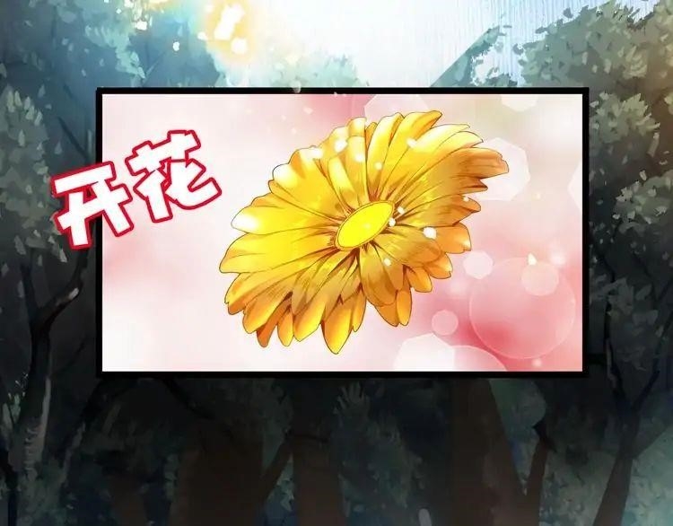 Chapter 3 Image(49)